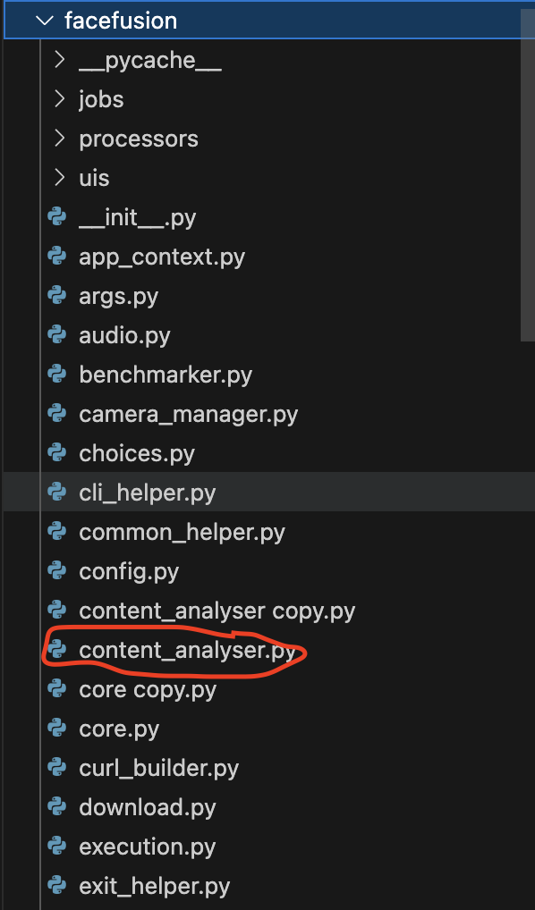 AI换脸（facefusion进阶）（10.8修正视频后半段加速问题以及添加压缩）